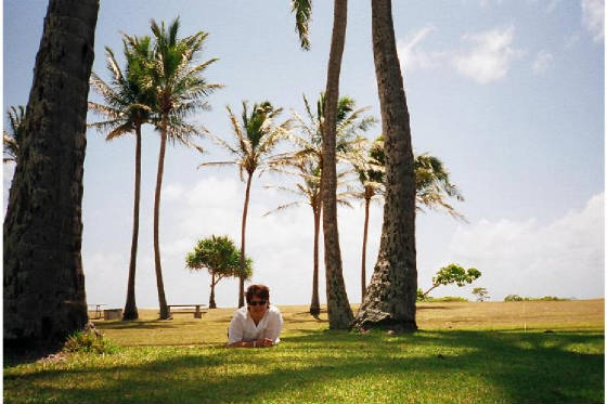 hawaii.jpg