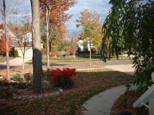 ourfrontlawn.jpg